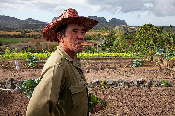 Viñales
